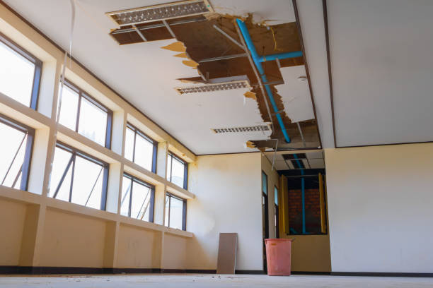 Best Flooded house restoration  in Three Rivers, TX