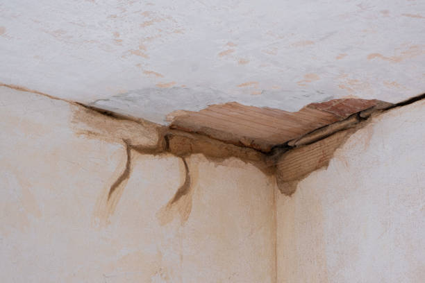 Best Ceiling water damage repair  in Three Rivers, TX