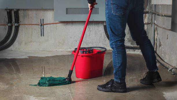 Best Carpet water damage restoration  in Three Rivers, TX