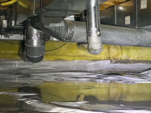 Best Flood damage cleanup  in Three Rivers, TX