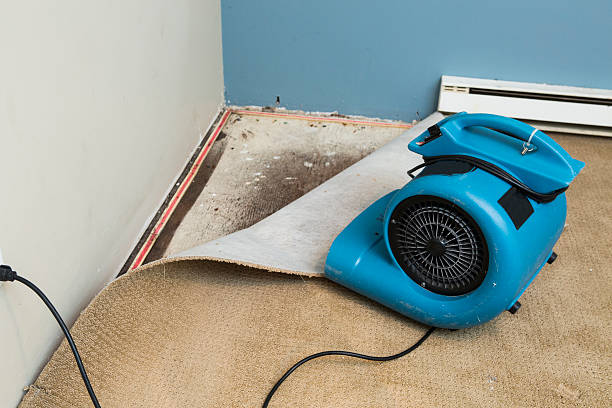 Best 24-hour water damage restoration  in Three Rivers, TX